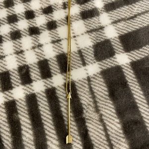 Alex and ani arrow necklace